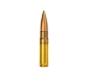 Picture of Magtech 300AAC 123gr FMJ